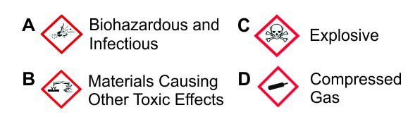 Quiz question 19
